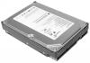 Hard Drive, 80GB, 7200rpm, ATA