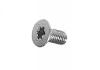 Screw, T-10, Flat, Pkg. of 5 (Faraday to outer shell)