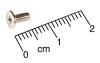 Screw, Wafer, 2 x 0.45 x 5.5