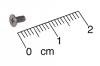 Screw, Phillips, 2 x 4 X 0.3, Pkg. of 5